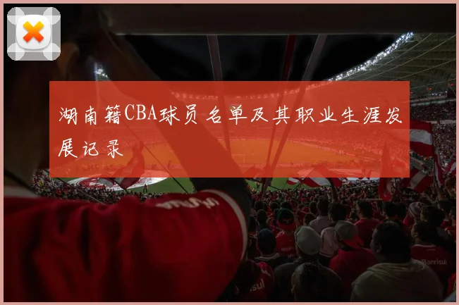 湖南籍CBA球员名单及其职业生涯发展记录