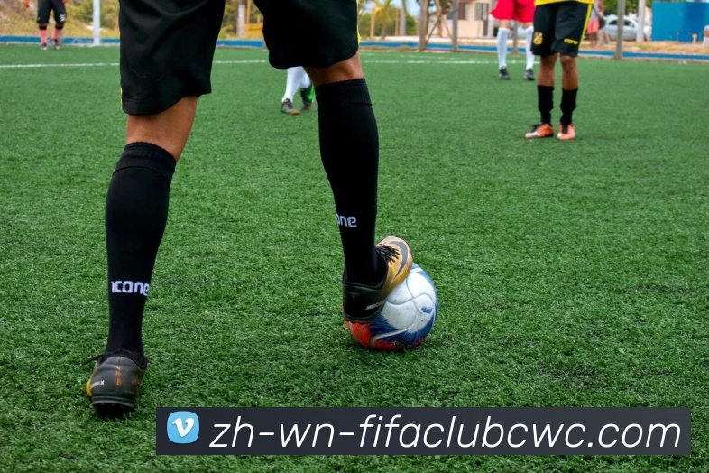 App Interface Preview